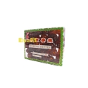 DATILES DULCES EAGLOBE  鹰球牌北京蜜枣 50/400G