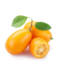 KUMQUAT