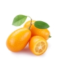 KUMQUAT