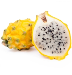 FRUTA DEL DRAGON PITAHAYA AMARILLA