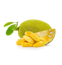 JACK FRUIT