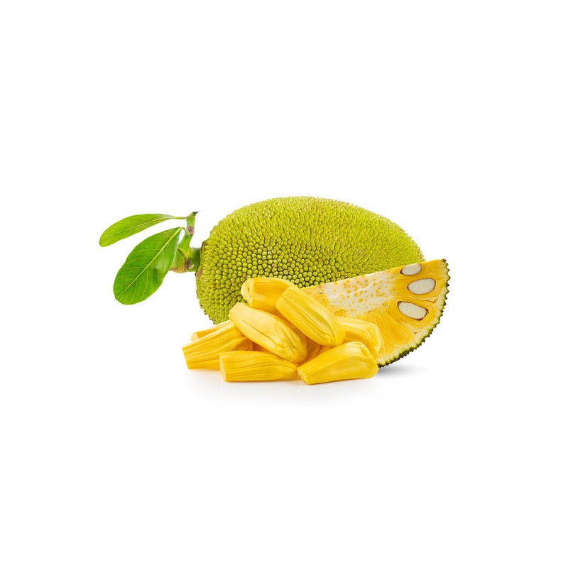 JACK FRUIT