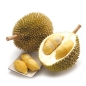 DURIAN