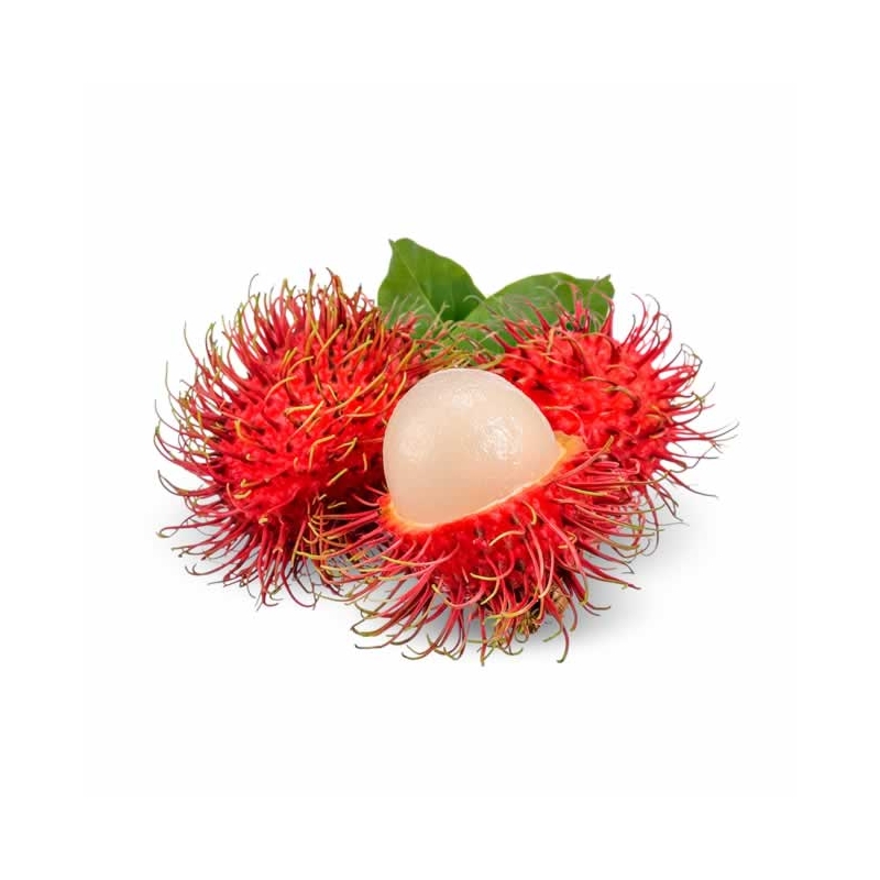 RAMBUTAN