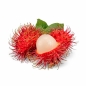 RAMBUTAN