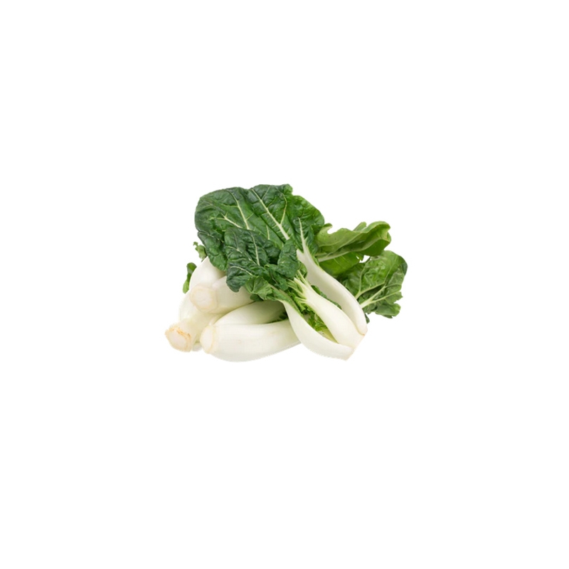 PAK CHOI MINI