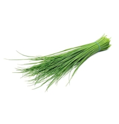 VERDURA CHIVES