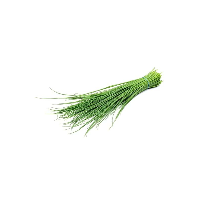 VERDURA CHIVES