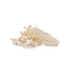 SETAS ENOKI 200G