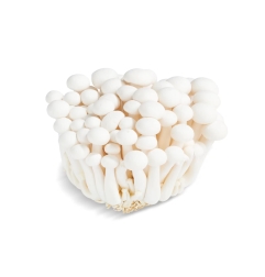 SETAS SHIMEJI BLANCA 150G