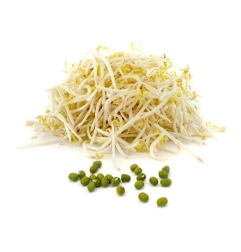 BROTES DE SOJA VERDE (MUNGO) 500G