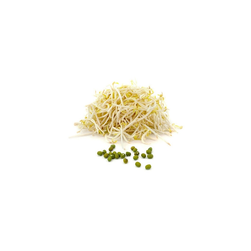 BROTES DE SOJA VERDE (MUNGO) 500G