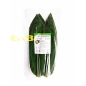 HOJA DE BAMBU M 30/100PCS