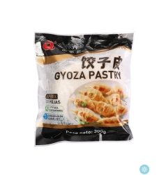 PASTA PARA GYOZA AIYIDUO 30/300G