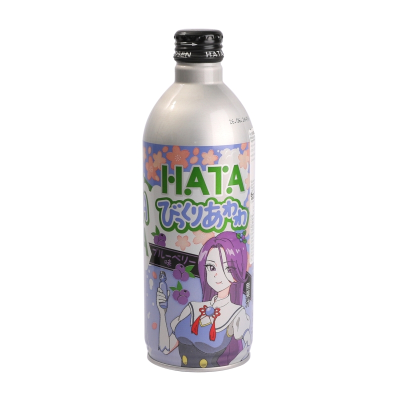 Bebida Soda Sabor Arandano Hata 500 g