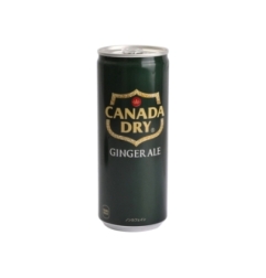 Refresco Con Jengibre Canadadry 250 ml