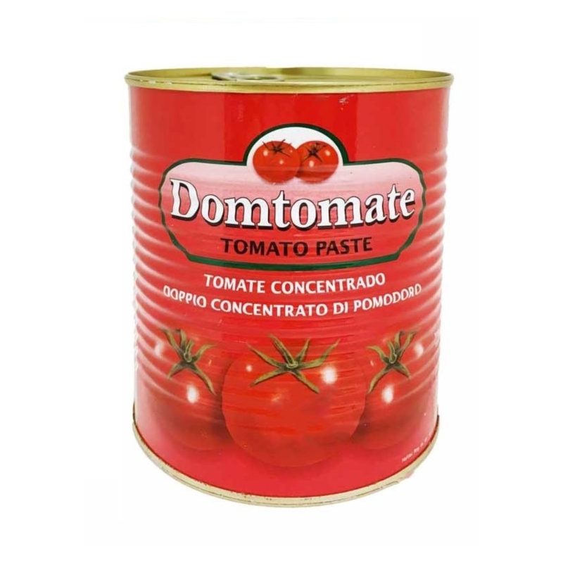 SALSA DE TOMATE 800G