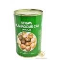 Champinon Con Agua Emb 425 g Champinon Con Agua Emb 425 g